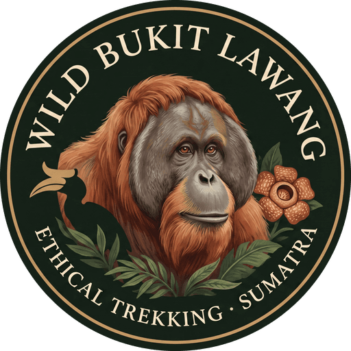 Wild Bukit Lawang