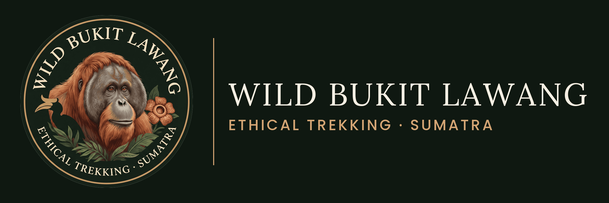 Wild Bukit Lawang